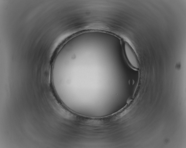 X0000092021123200709271544