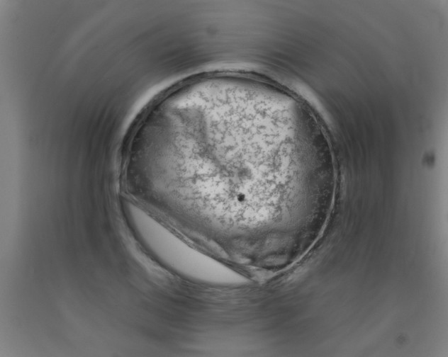 X0000092021124200709271544