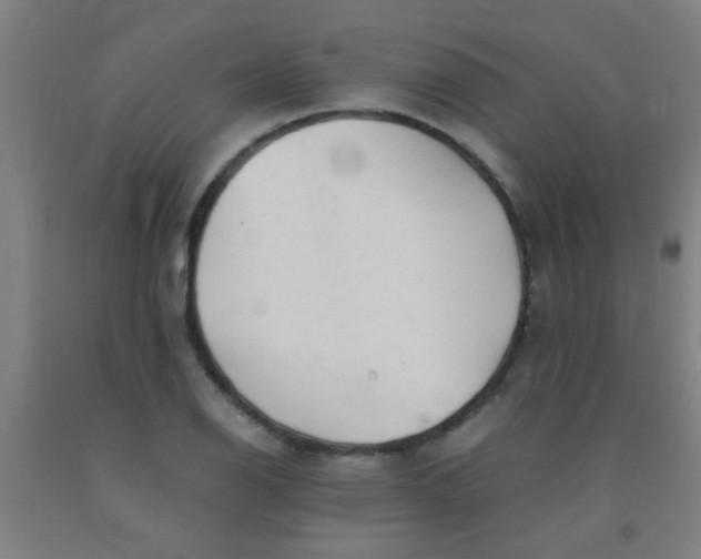 X0000092021126200709271544