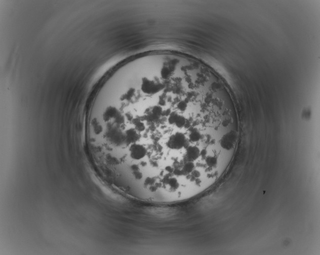 X0000092021127200709271544