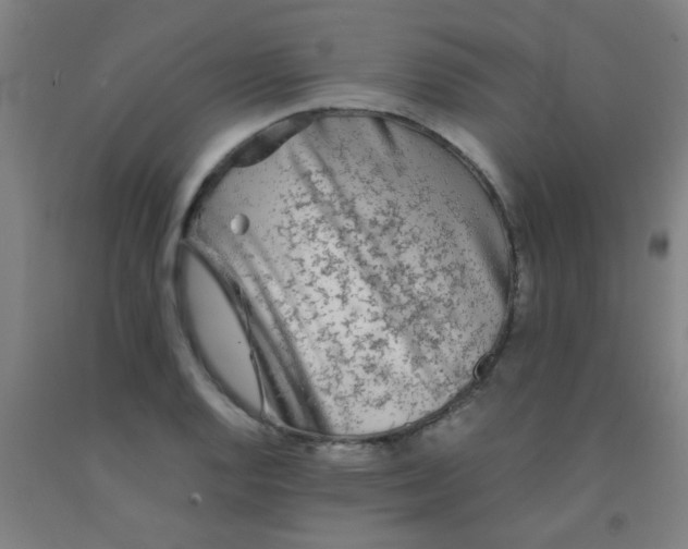 X0000092021128200709271544