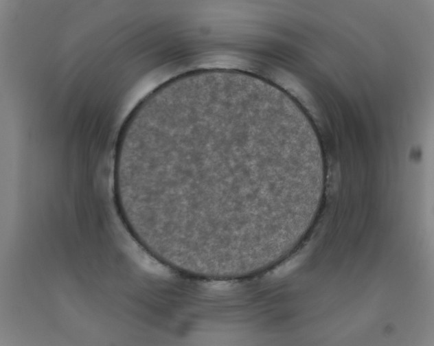 X0000092021130200709271544