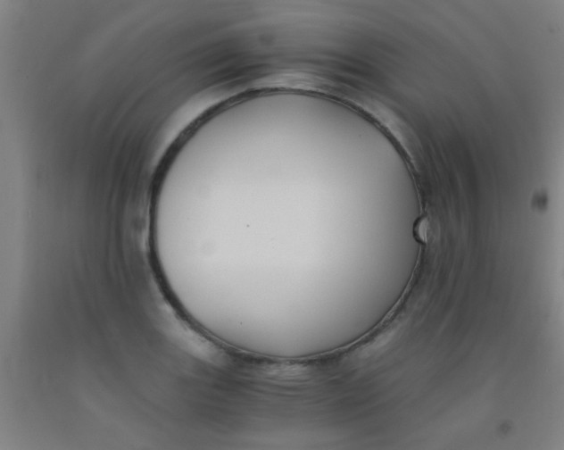 X0000092021131200709271544