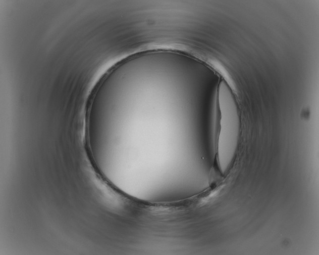 X0000092021132200709271544