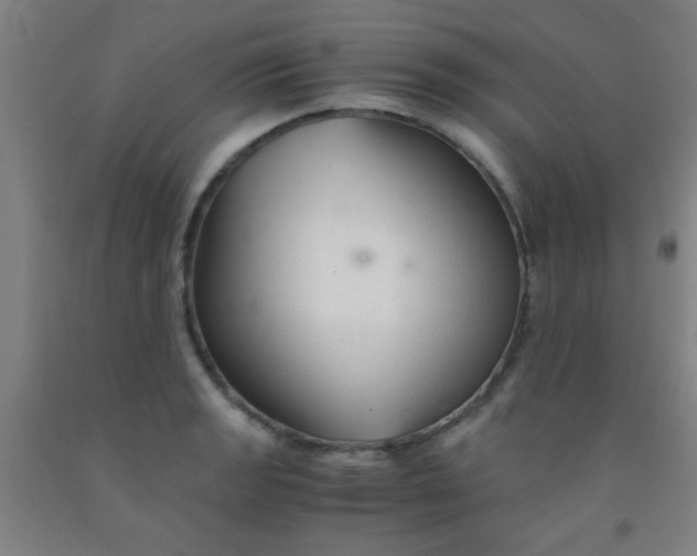 X0000092021133200709271544