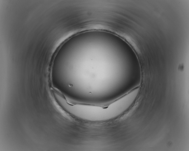 X0000092021134200709271544