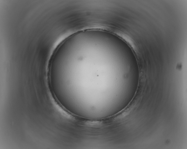 X0000092021135200709271544