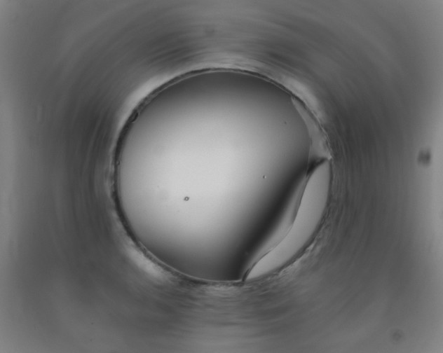 X0000092021136200709271544