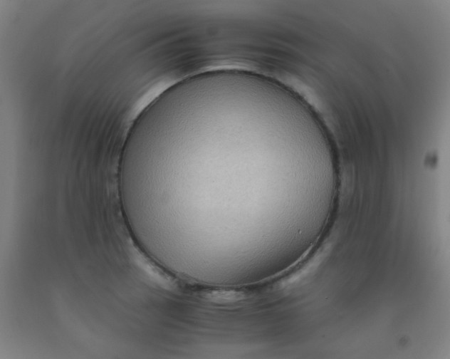 X0000092021137200709271544