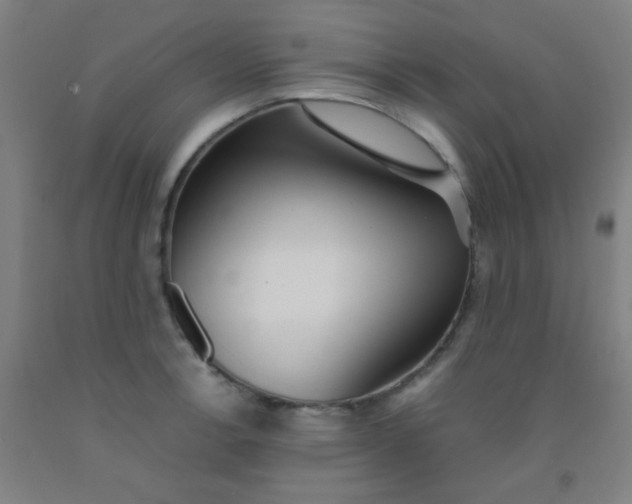 X0000092021138200709271544