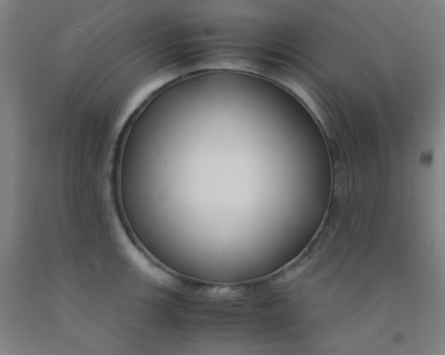 X0000092021139200709271544