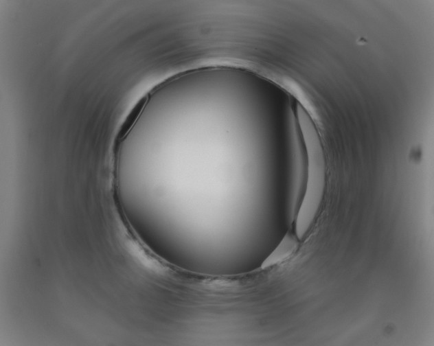 X0000092021140200709271544