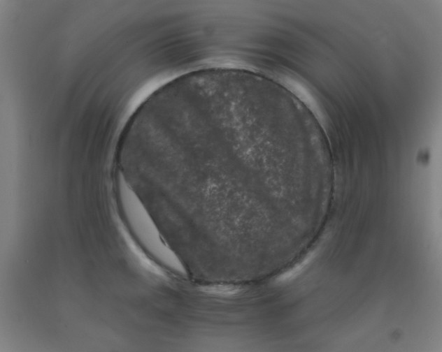 X0000092021141200709271544