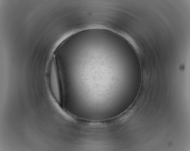 X0000092021142200709271544