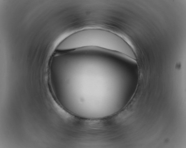 X0000092021143200709271544