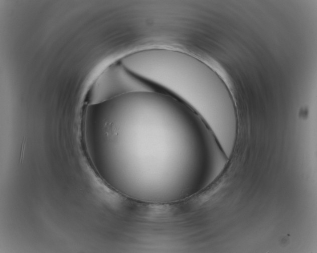 X0000092021144200709271544