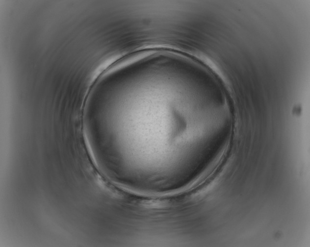 X0000092021145200709271544