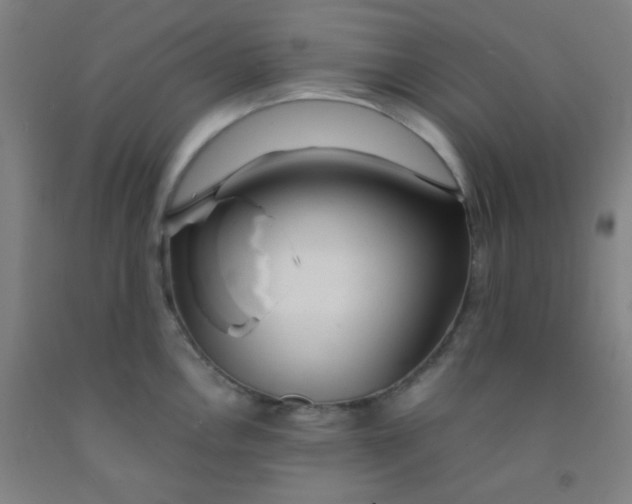 X0000092021146200709271544