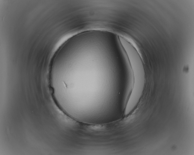 X0000092021147200709271544