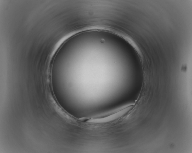 X0000092021148200709271544