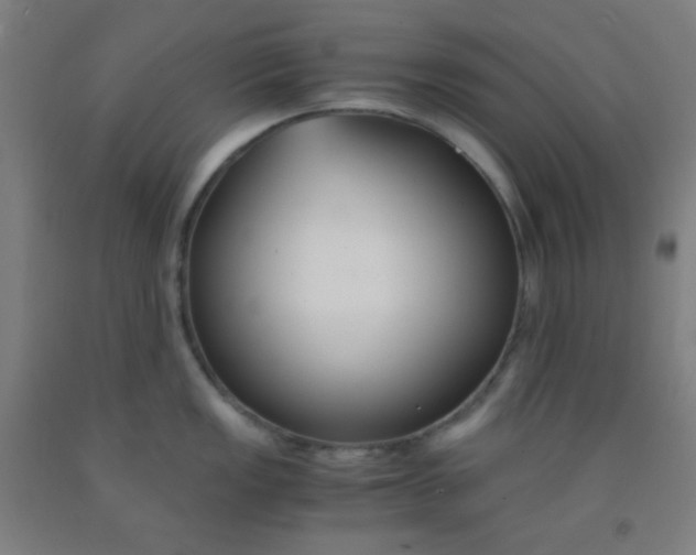 X0000092021149200709271544