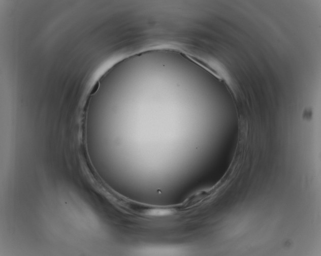 X0000092021151200709271544