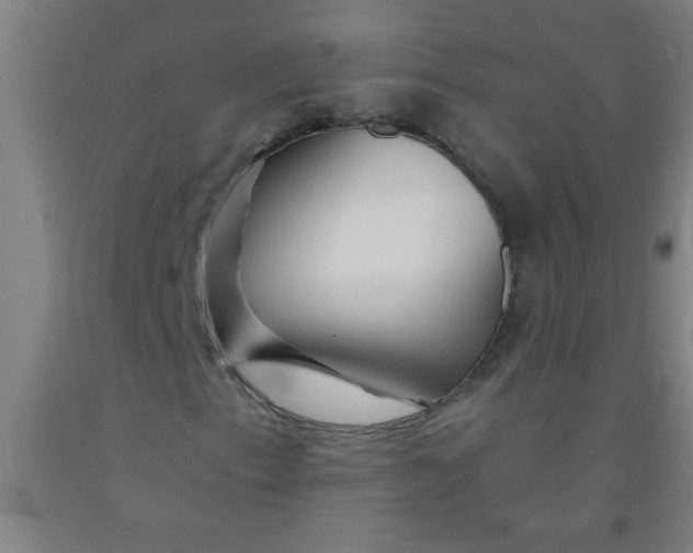 X0000092021153200709271543