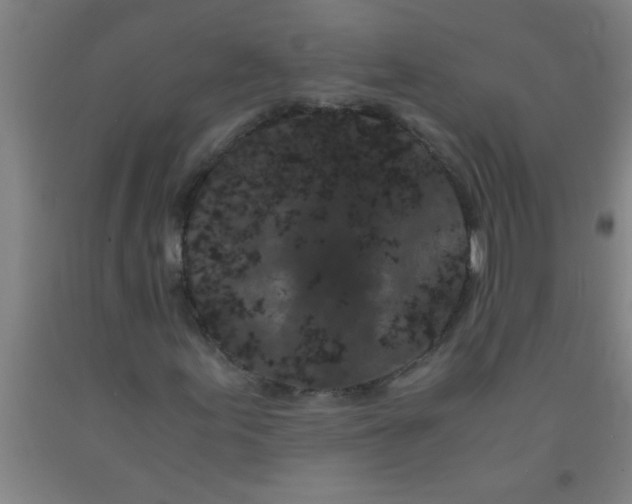 X0000092021155200709271543