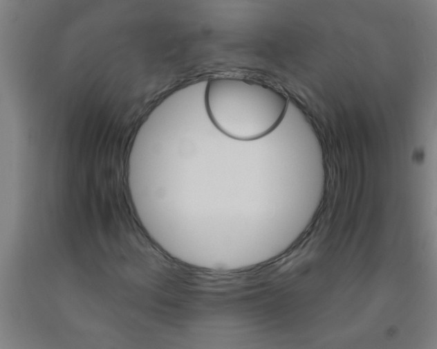 X0000092021156200709271543