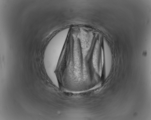 X0000092021157200709271543