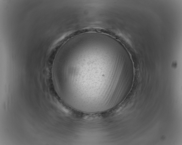 X0000092021159200709271543