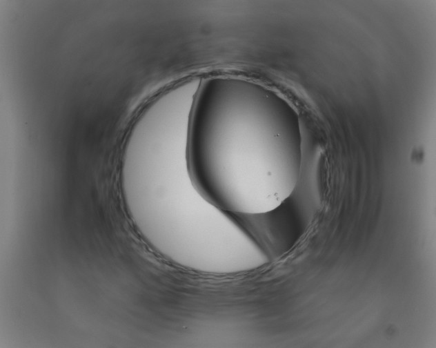 X0000092021160200709271543