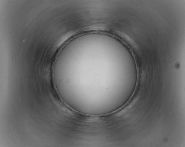 X0000092021162200709271543