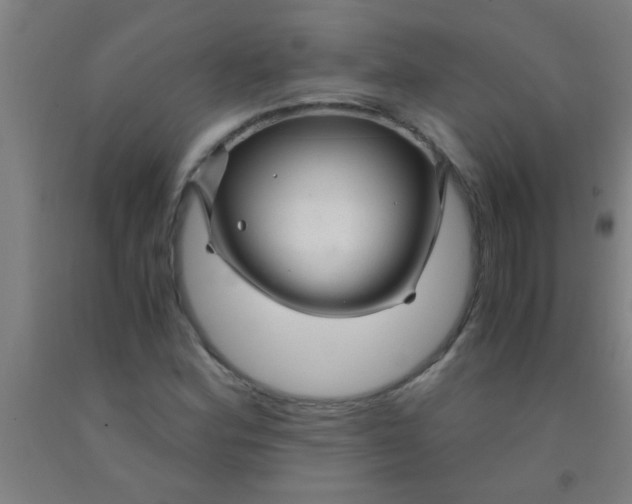 X0000092021164200709271543