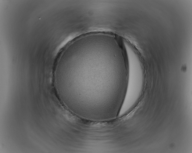 X0000092021165200709271543