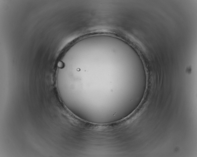 X0000092021166200709271543