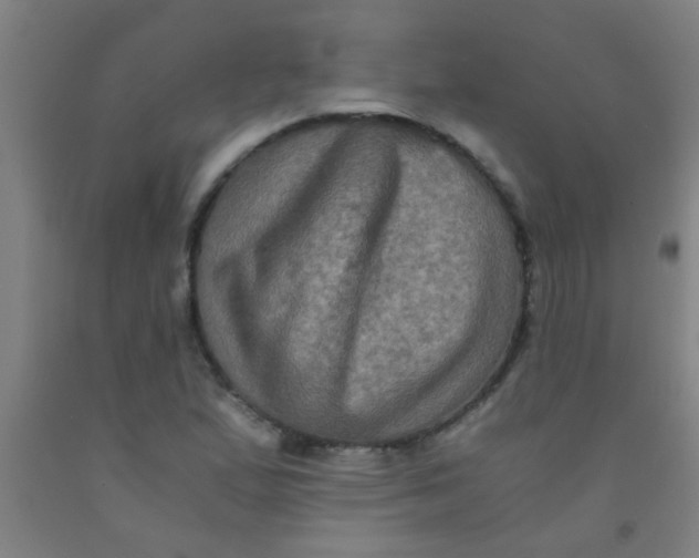 X0000092021167200709271543