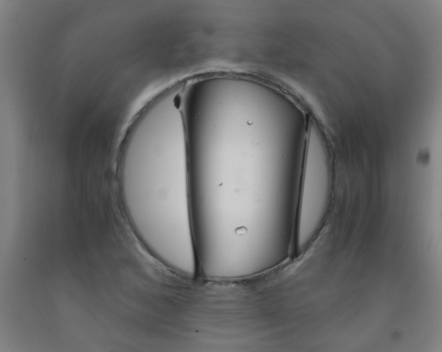 X0000092021168200709271543