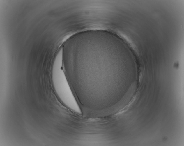 X0000092021169200709271543