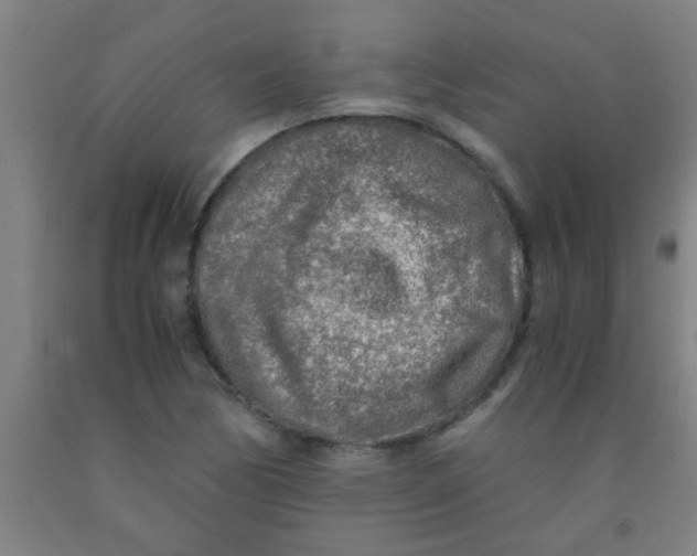 X0000092021170200709271543