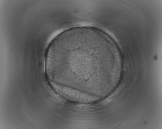 X0000092021171200709271543