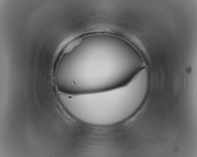 X0000092021172200709271543