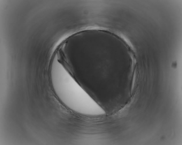 X0000092021173200709271543