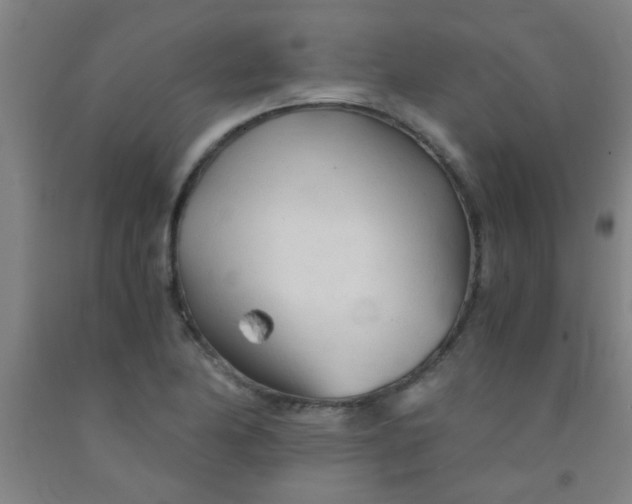 X0000092021174200709271543