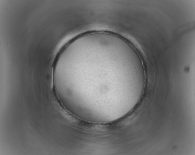 X0000092021175200709271543