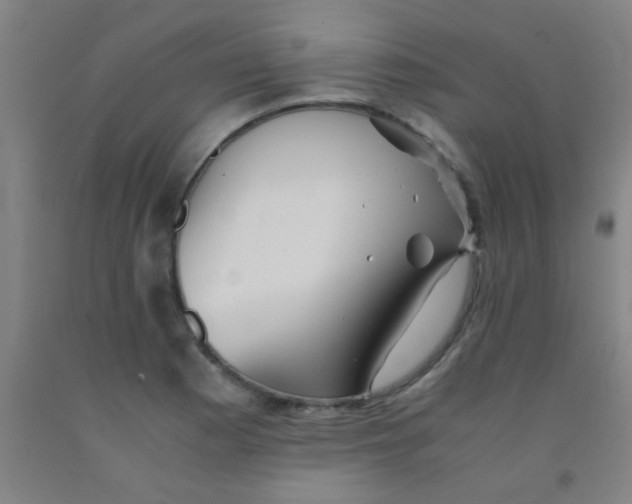 X0000092021177200709271543