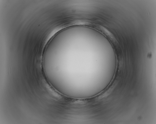 X0000092021178200709271543