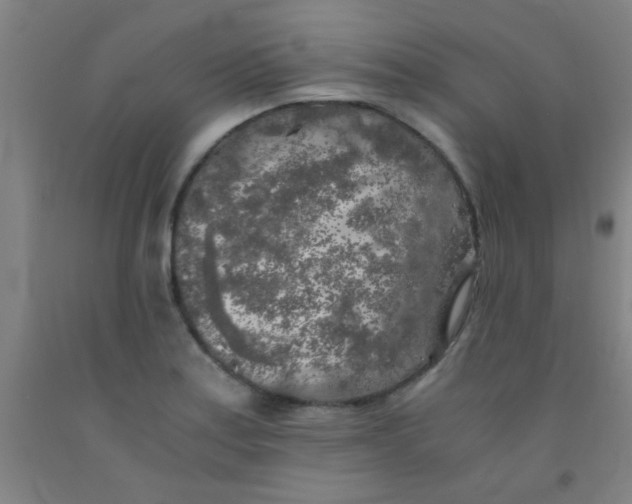 X0000092021179200709271543