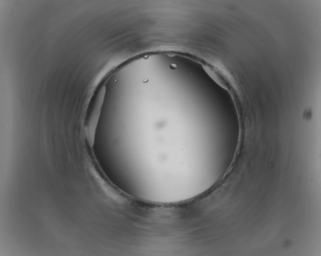 X0000092021181200709271543