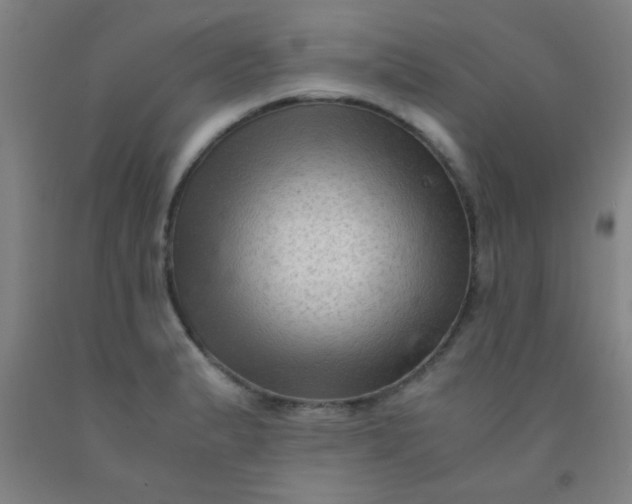 X0000092021183200709271543